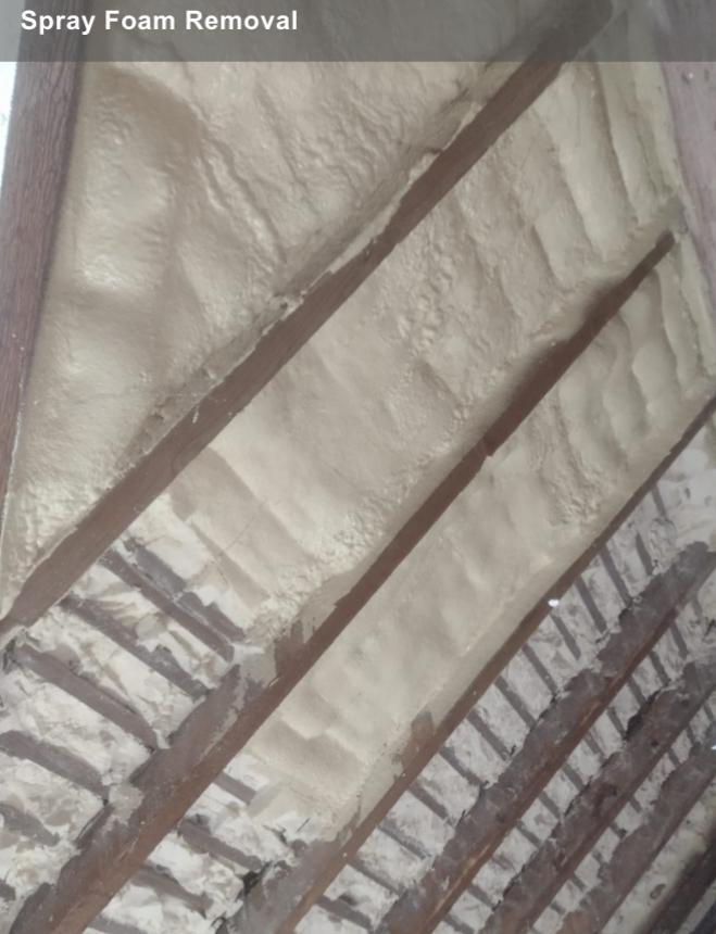 PHOTO-2026-03-12-15-33-12