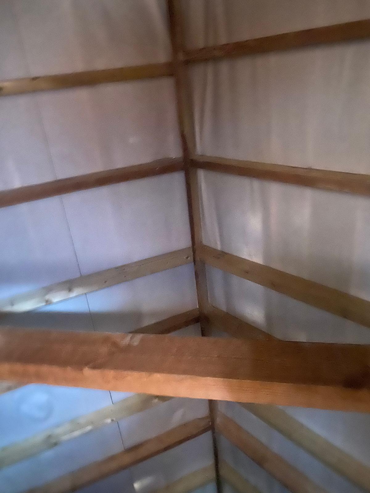 PHOTO-2026-03-12-15-33-13