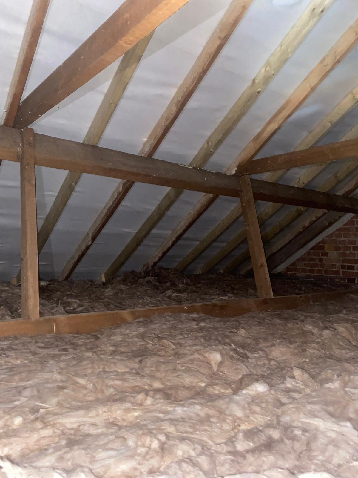 PHOTO-2026-03-12-15-33-13_1