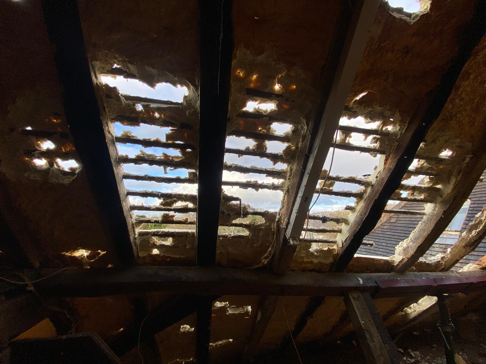 PHOTO-2026-03-21-14-31-00_2