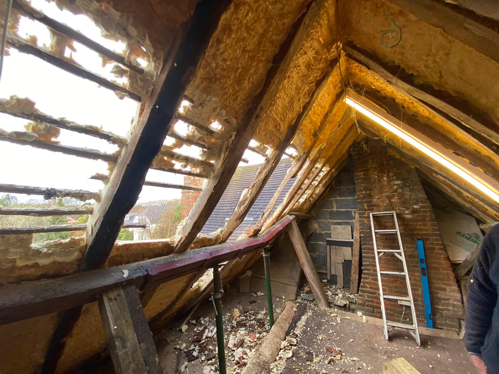 PHOTO-2026-03-21-14-31-00_3