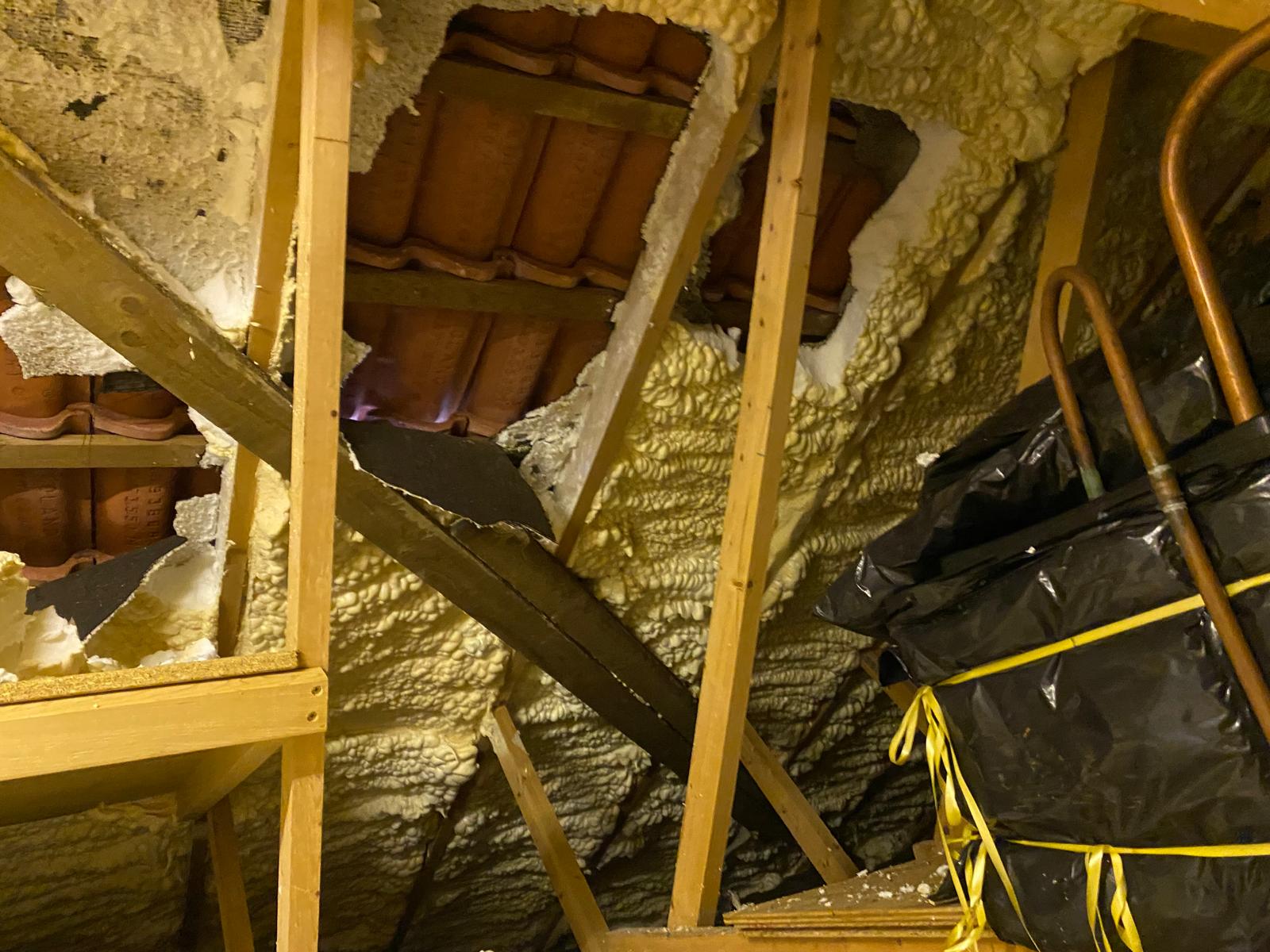 PHOTO-2026-03-21-14-31-01_8