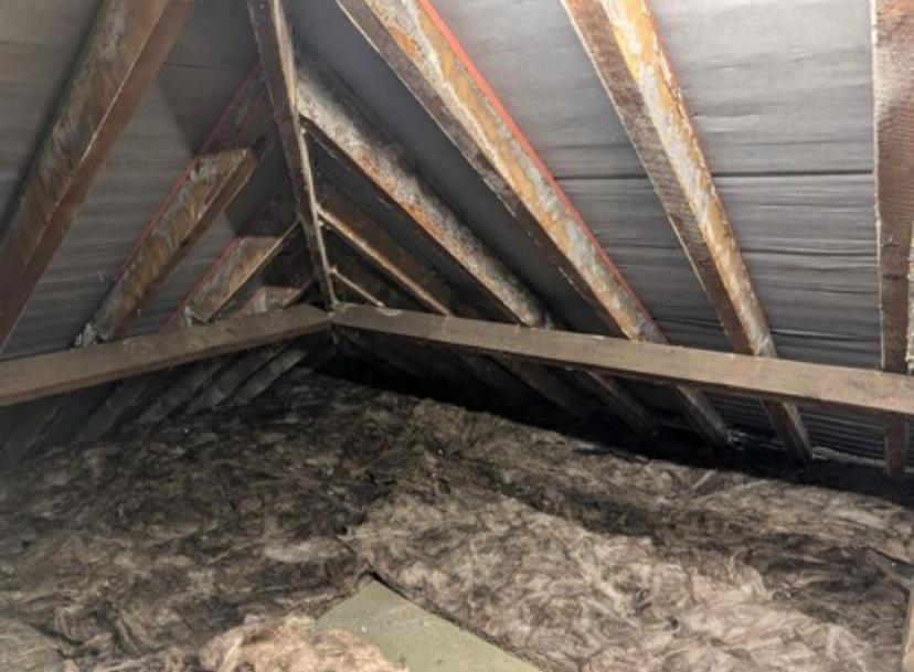 PHOTO-2026-03-21-14-31-02_3